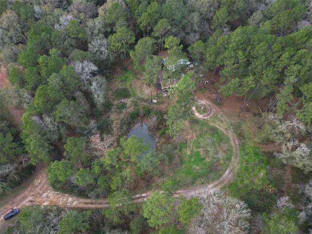 10008 Bentley Dr, Hockley, TX 77447 - photo 29