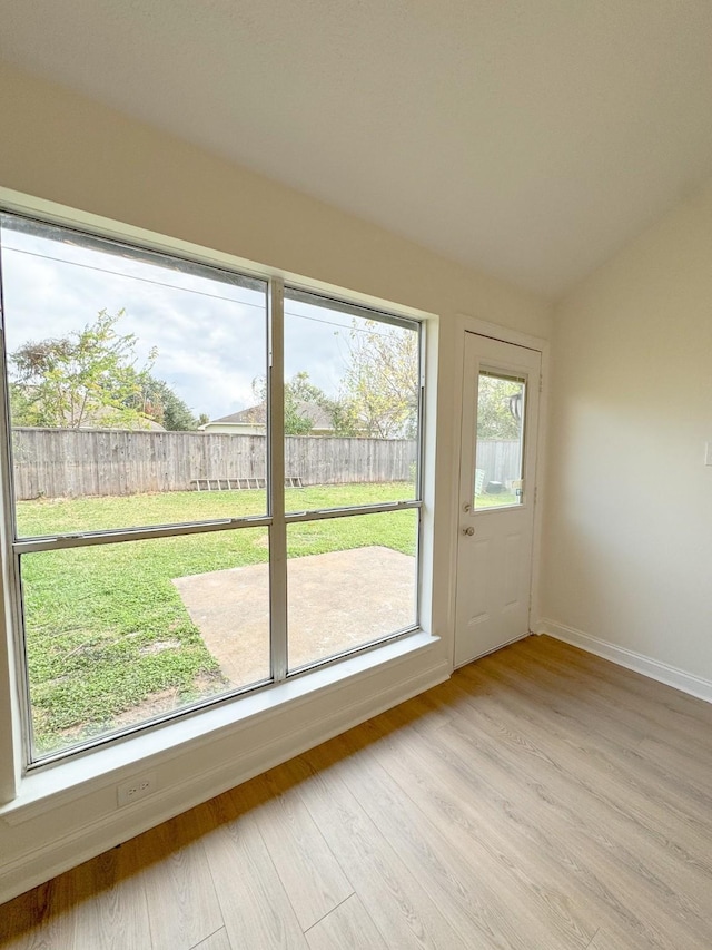 entryway featuring plenty of natural light and light wood-type flooring