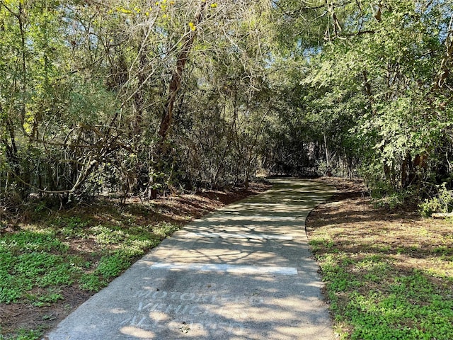 view of road