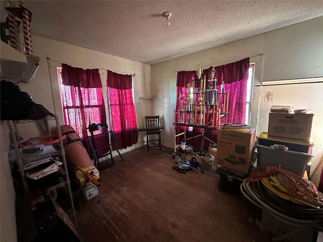 miscellaneous room featuring wood-type flooring, a textured ceiling, and plenty of natural light