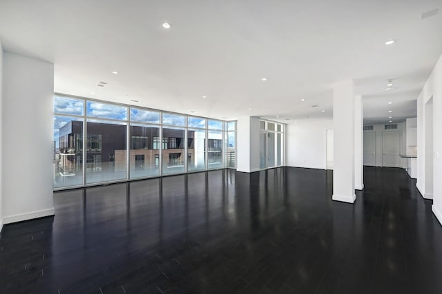 empty room with expansive windows and wood-type flooring