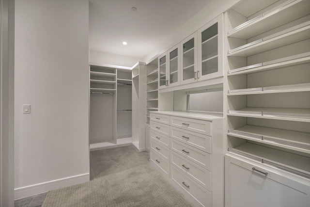 spacious closet with light carpet