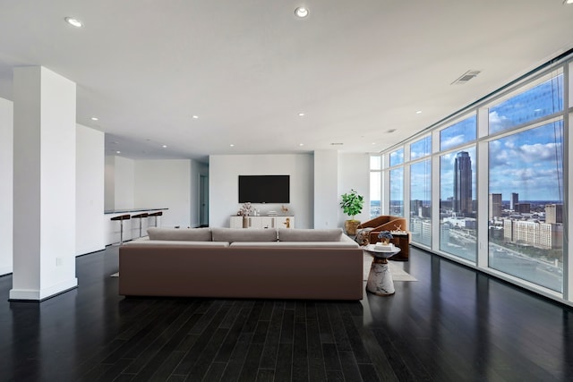 living room with dark hardwood / wood-style floors and floor to ceiling windows