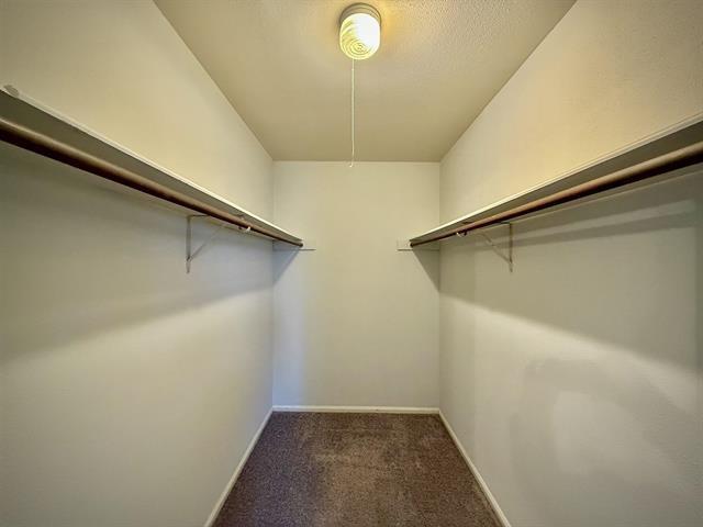 spacious closet with carpet flooring