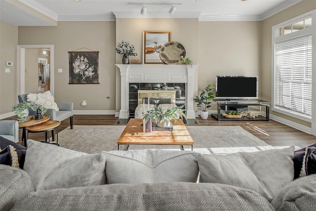 living room featuring rail lighting, wood-type flooring, a premium fireplace, and ornamental molding