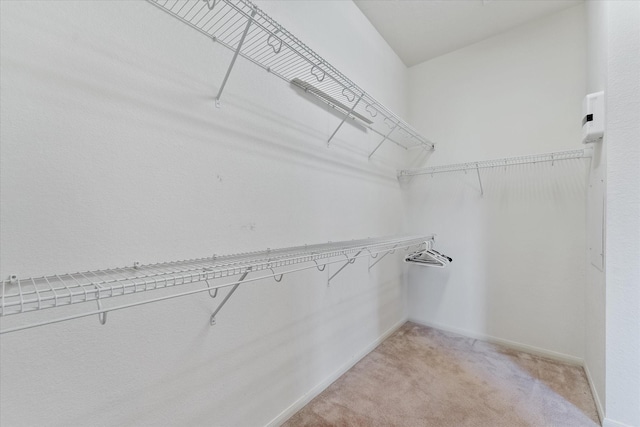 walk in closet featuring light colored carpet