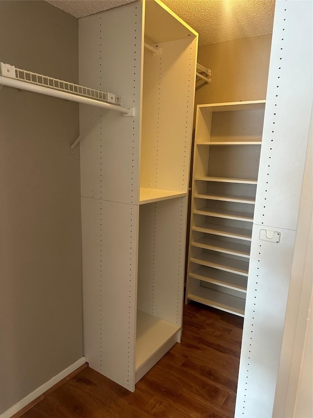 spacious closet featuring dark hardwood / wood-style floors