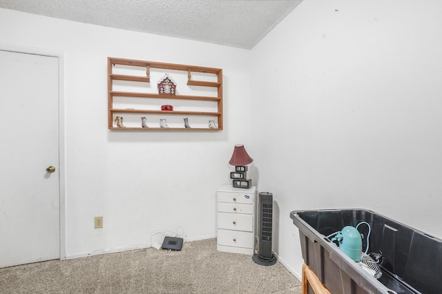 interior space with carpet flooring and a textured ceiling