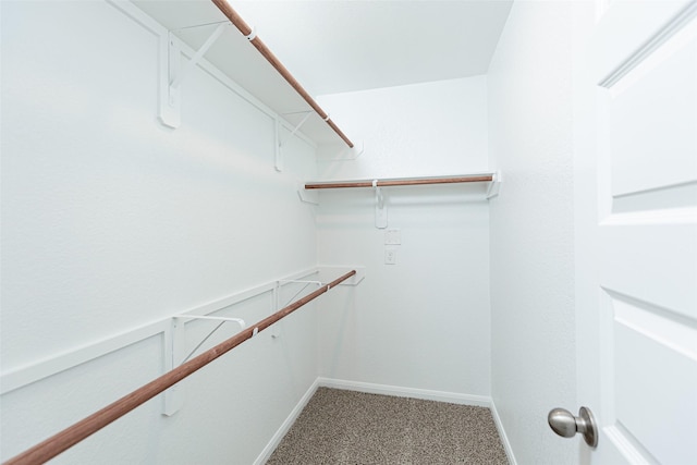 walk in closet with carpet