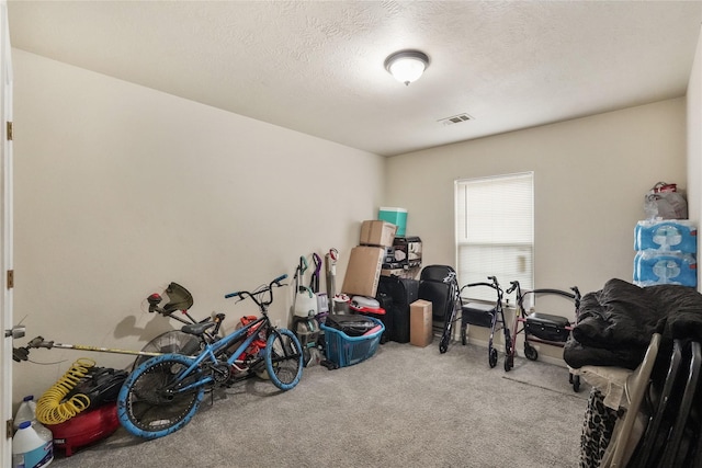 misc room featuring carpet flooring and a textured ceiling