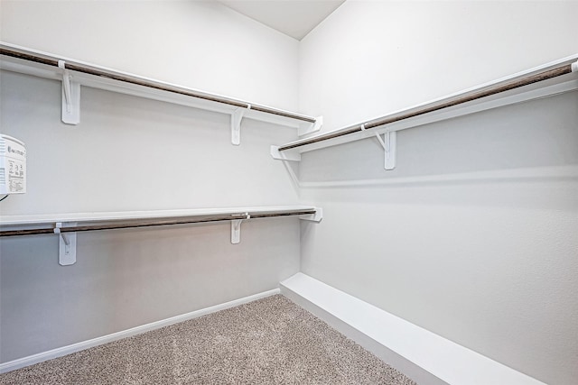 walk in closet featuring carpet floors