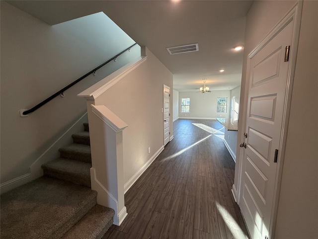 corridor with dark hardwood / wood-style flooring and a chandelier