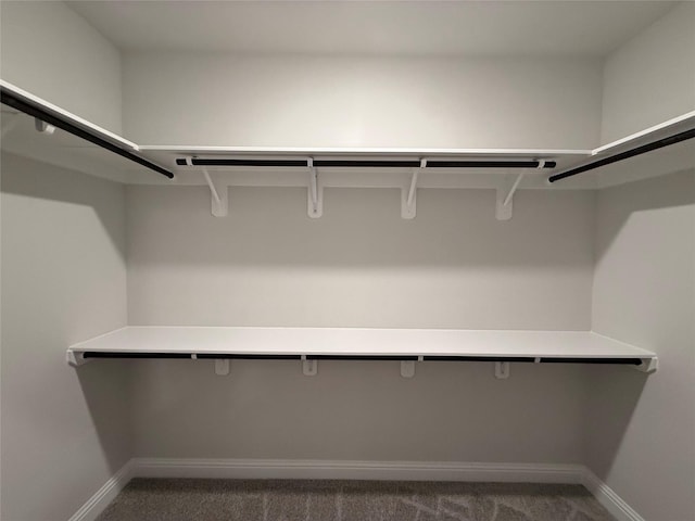 spacious closet featuring dark colored carpet