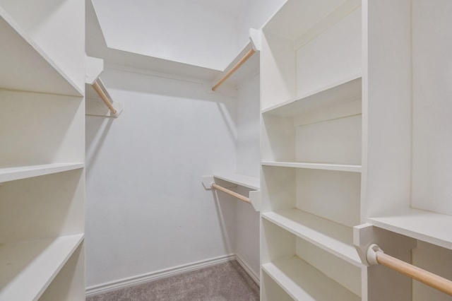 spacious closet with carpet floors