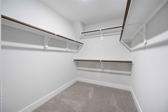 spacious closet featuring carpet floors