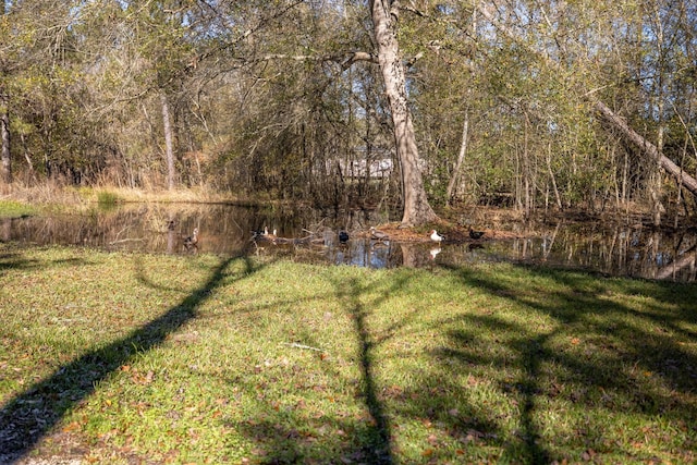 view of yard with a water view