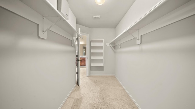 spacious closet featuring light colored carpet