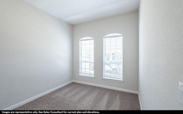 unfurnished room with carpet floors