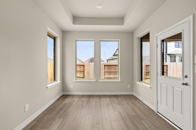 interior space with a raised ceiling, light hardwood / wood-style flooring, and a healthy amount of sunlight