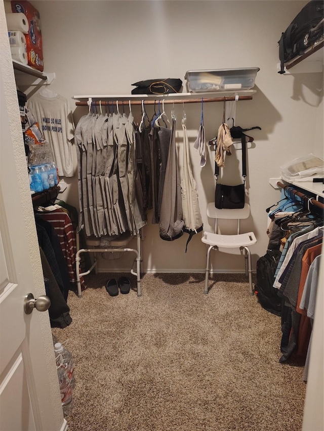 spacious closet with carpet floors