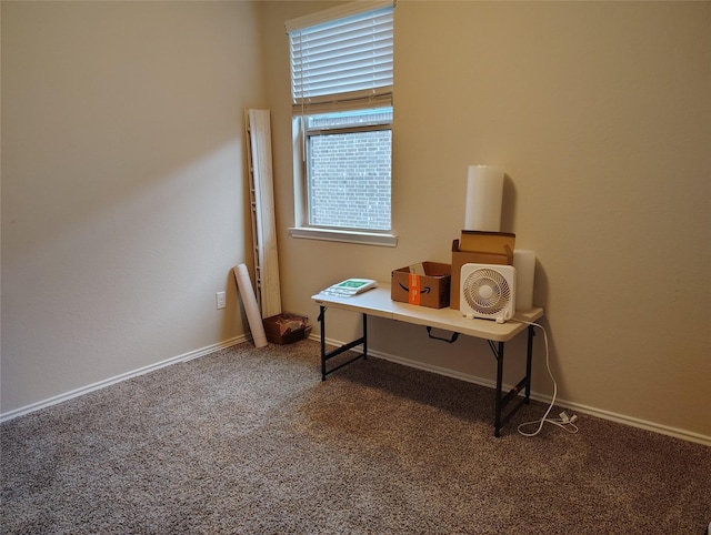 view of carpeted home office