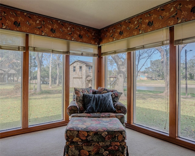 sunroom with a wealth of natural light