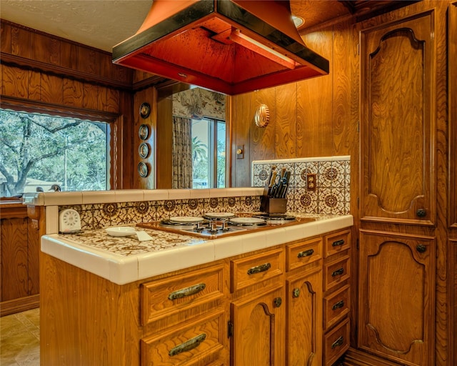 bathroom with vanity, wood walls, and backsplash