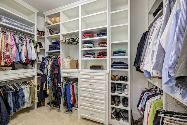 spacious closet with light colored carpet