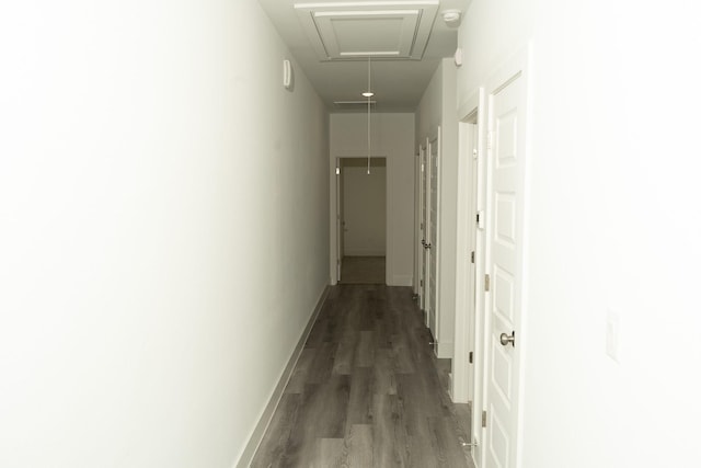 hall featuring dark wood-type flooring