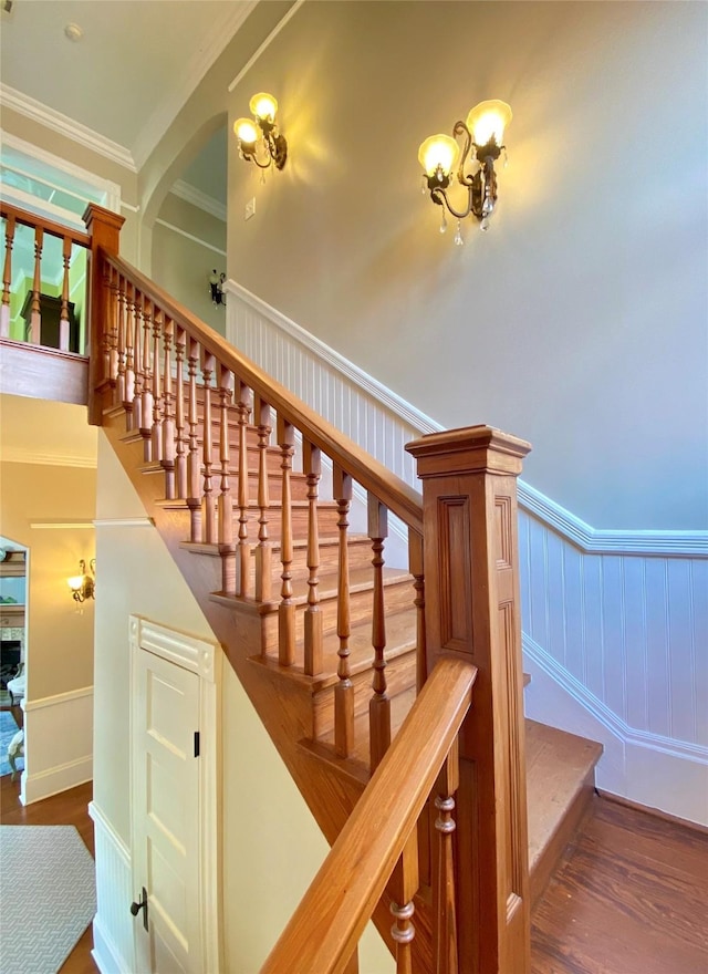 stairs with hardwood / wood-style floors and ornamental molding