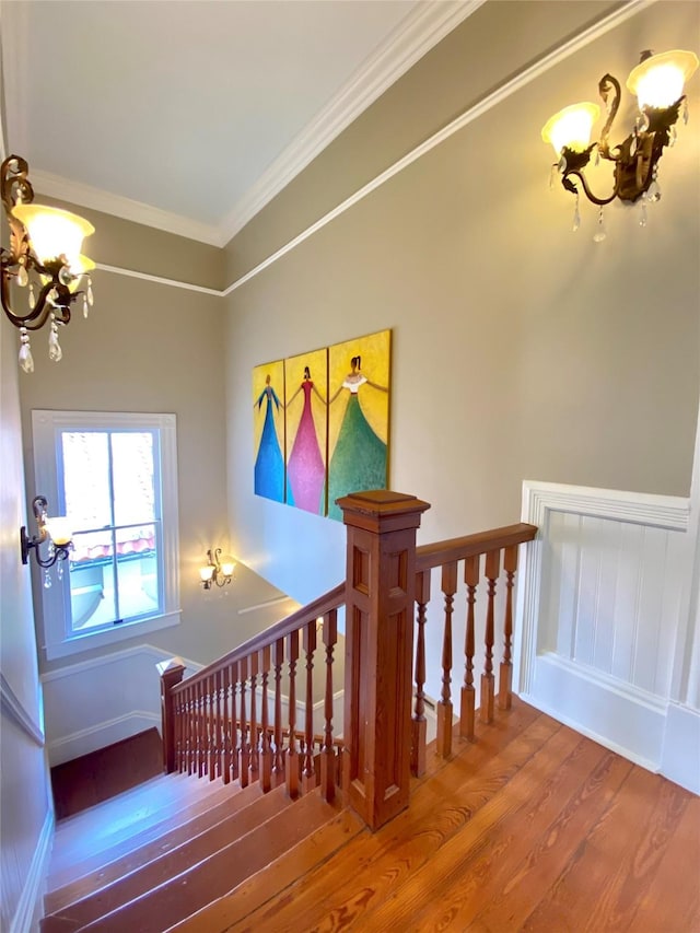 stairway featuring wood-type flooring, an inviting chandelier, and ornamental molding