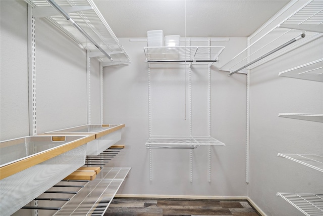 walk in closet with dark wood-type flooring