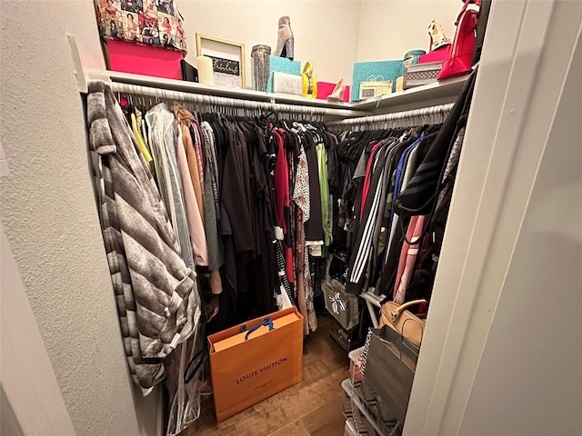 view of walk in closet