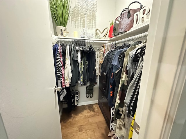 spacious closet featuring dark hardwood / wood-style flooring