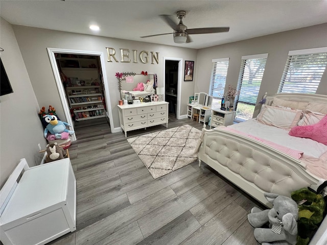 bedroom with ceiling fan, wood-type flooring, a spacious closet, and a closet