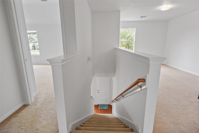 staircase featuring carpet and a wealth of natural light