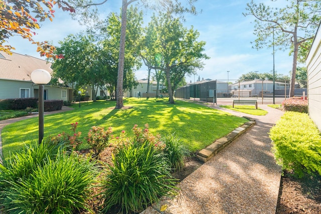 2445 Briarwest Blvd, Houston, TX 77077 - photo 5