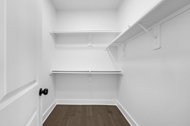 spacious closet with dark hardwood / wood-style floors