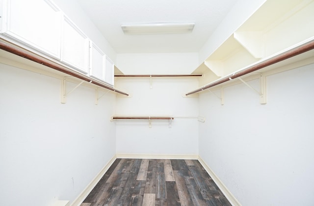 spacious closet featuring dark hardwood / wood-style flooring