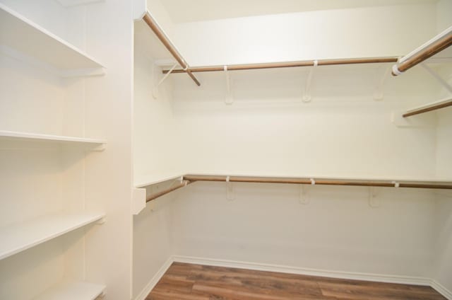 walk in closet with dark hardwood / wood-style floors