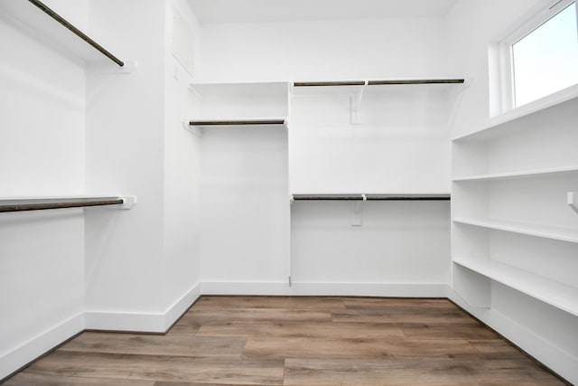 walk in closet featuring wood-type flooring