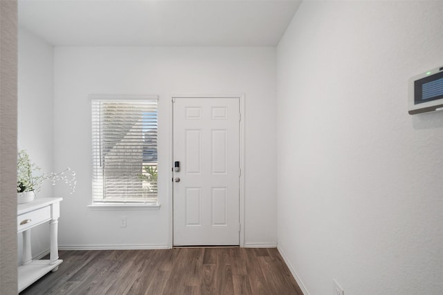 foyer entrance with dark hardwood / wood-style flooring