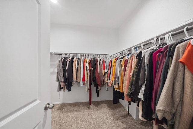 walk in closet featuring carpet floors