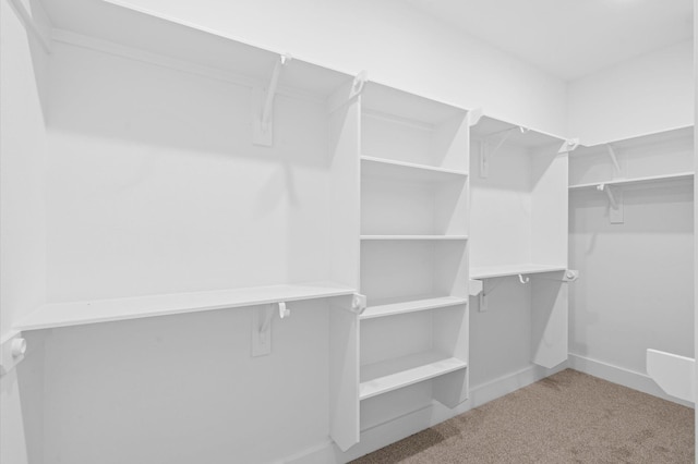 spacious closet featuring carpet floors