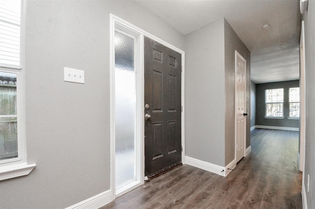 foyer featuring dark wood-type flooring