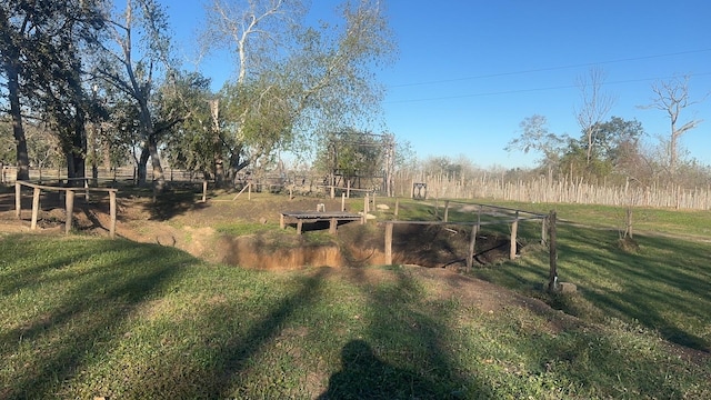 view of yard with a rural view