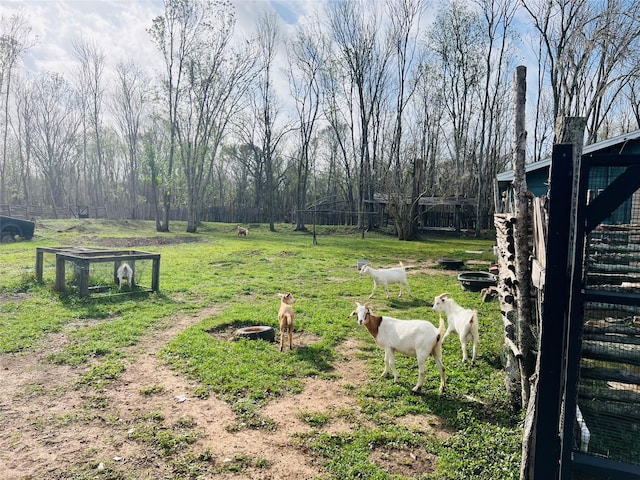 view of yard featuring a rural view and fence