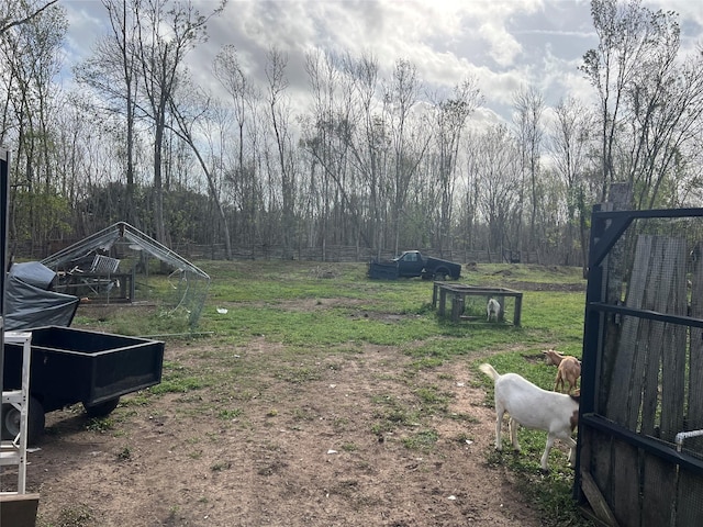 view of yard with an outbuilding