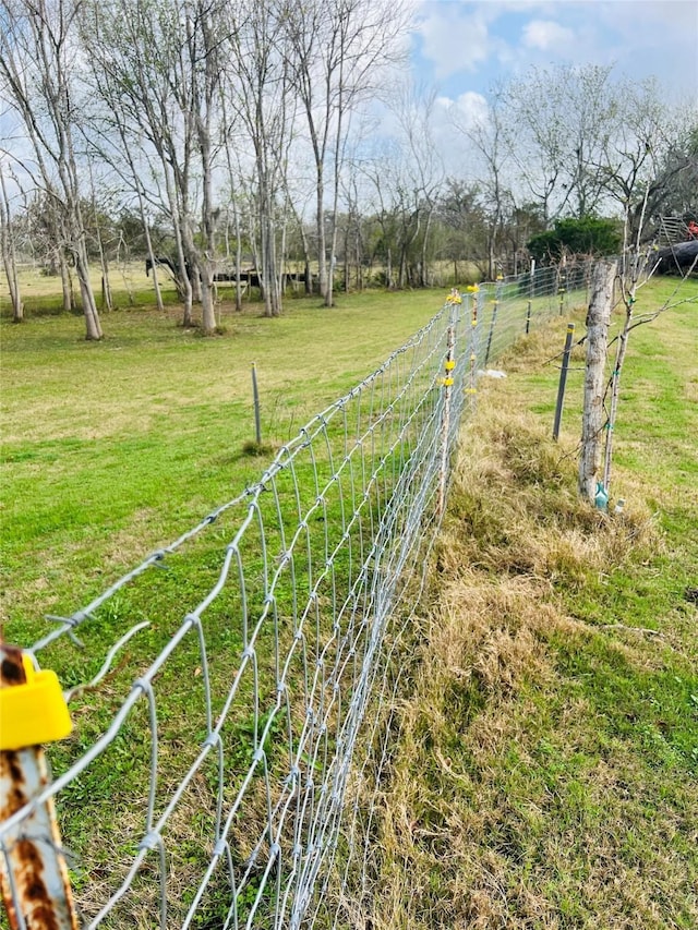 view of yard with a rural view