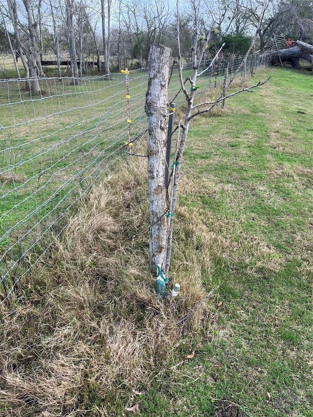 view of yard with a rural view